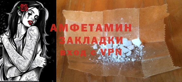 прущие грибы Иннополис