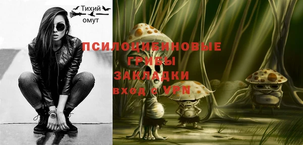 apvp Зерноград