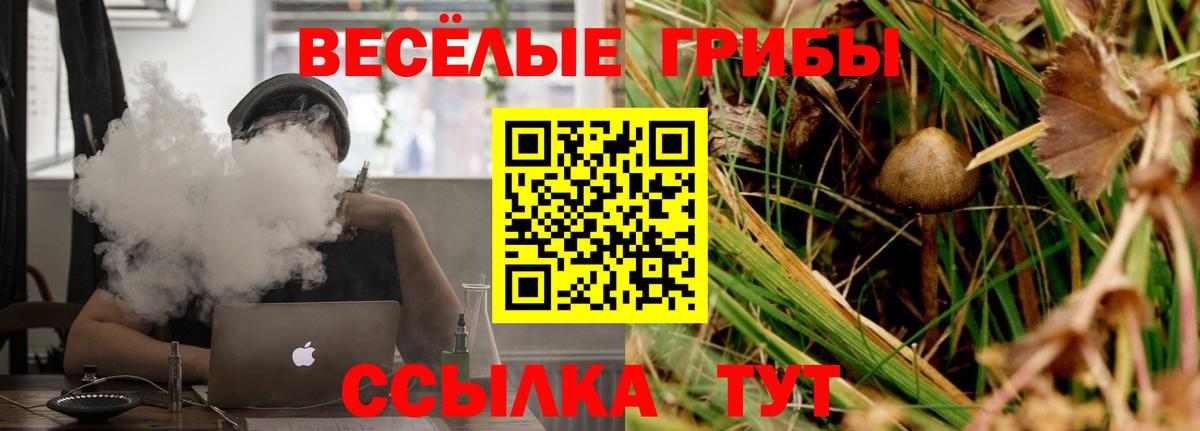 Галлюциногенные грибы MAGIC MUSHROOMS Камень-на-Оби